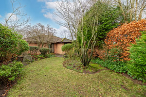 Garden- click for photo gallery